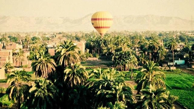 핵심 요약 이미지