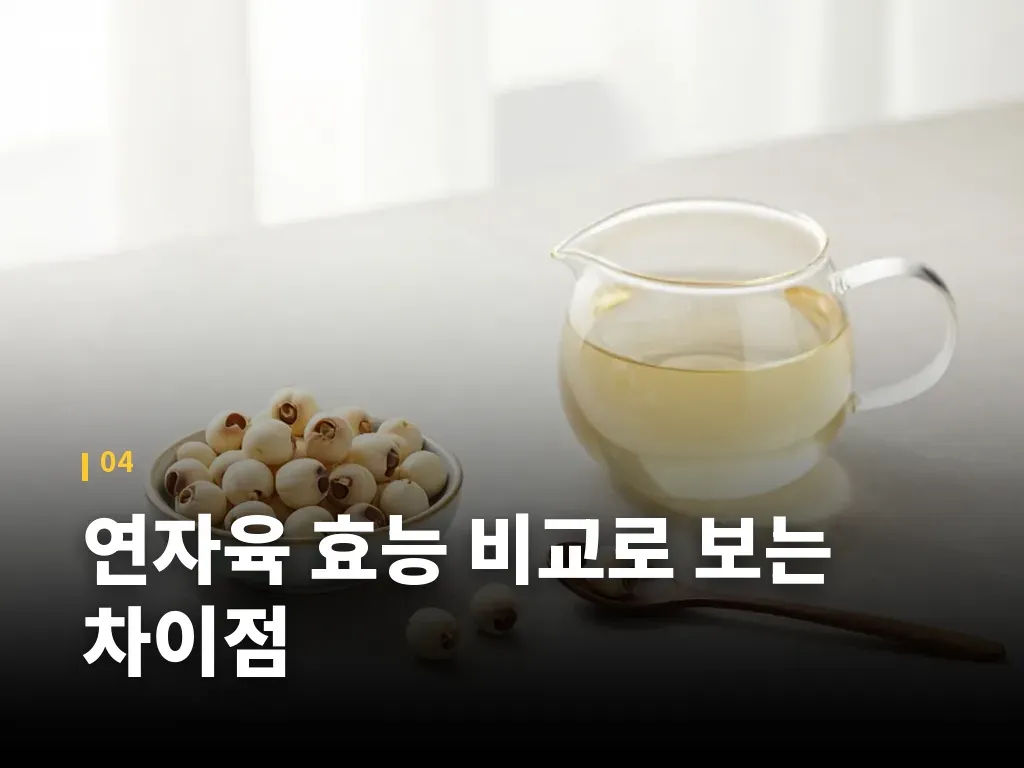 연자육 효능 비교로 보는 차이점 이미지