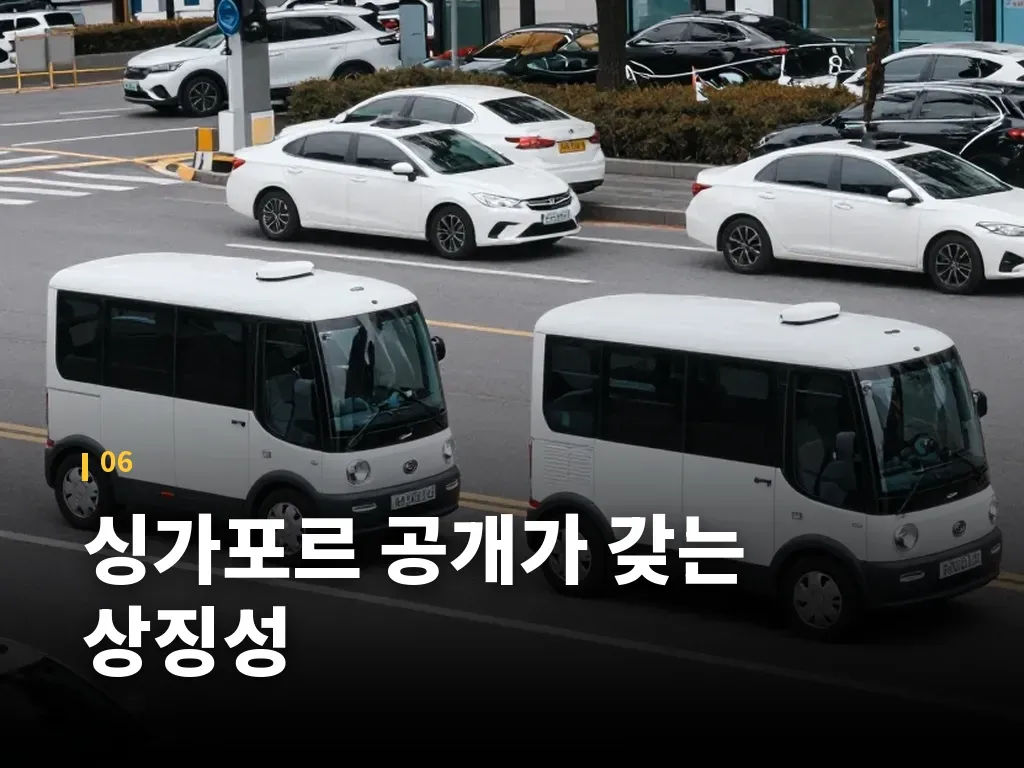 투자 관점에서 보는 기회와 한계 이미지