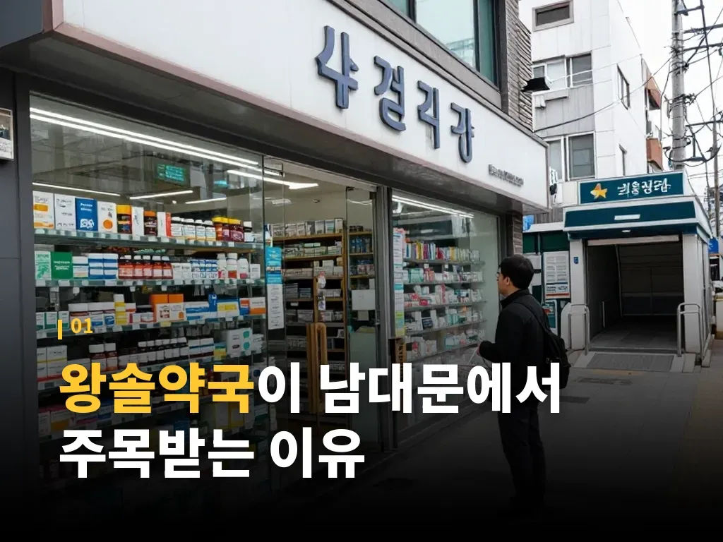 왕솔약국에서 자주 찾는 품목 분류 이미지