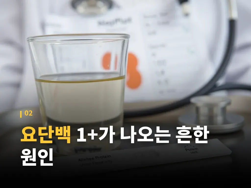 요단백 관련 질환을 구분하는 방법 이미지