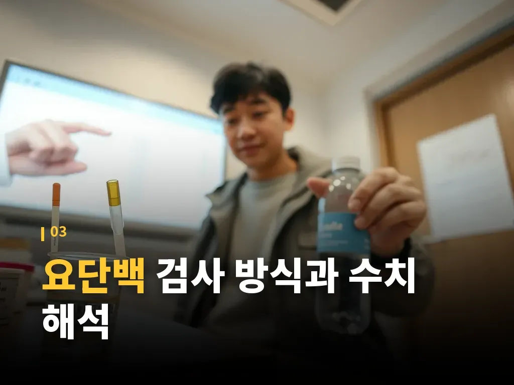 요단백 관리 방법과 생활 조정 이미지