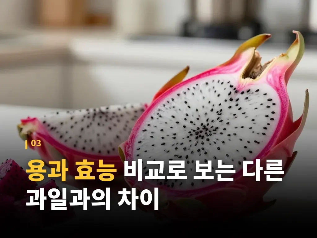 용과 효능이 잘 맞는 사람과 덜 맞는 사람 이미지