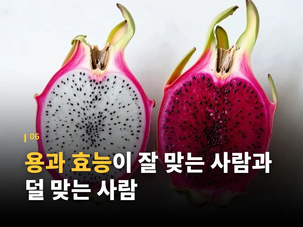 자주 묻는 질문 이미지
