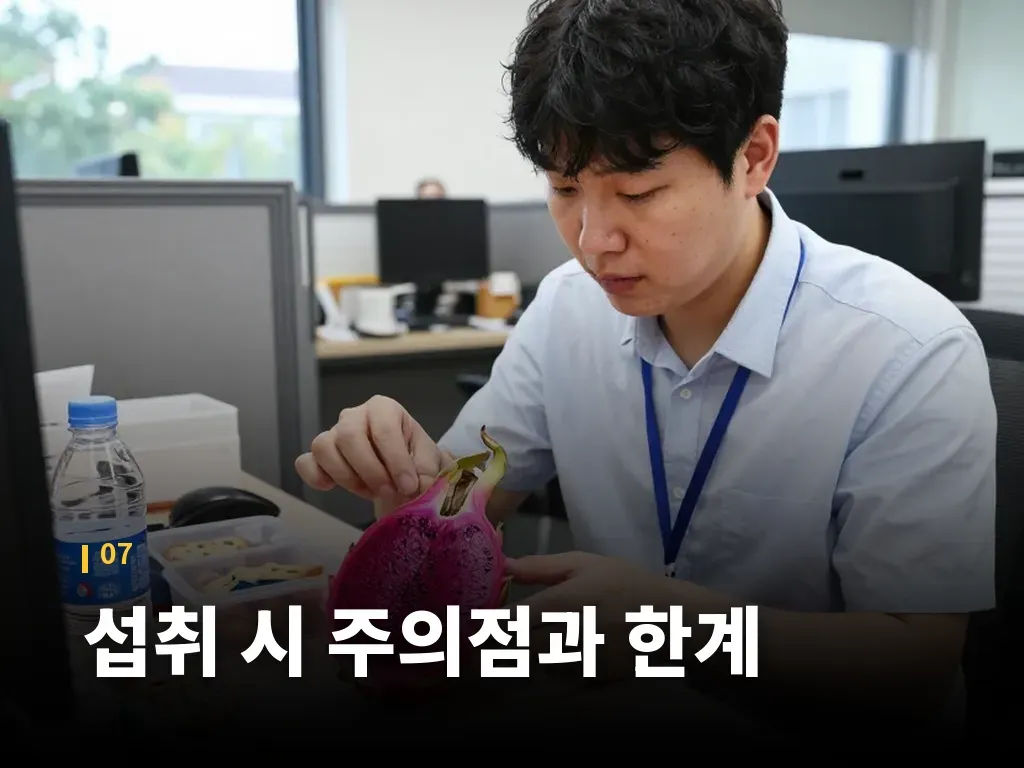 핵심요약 이미지