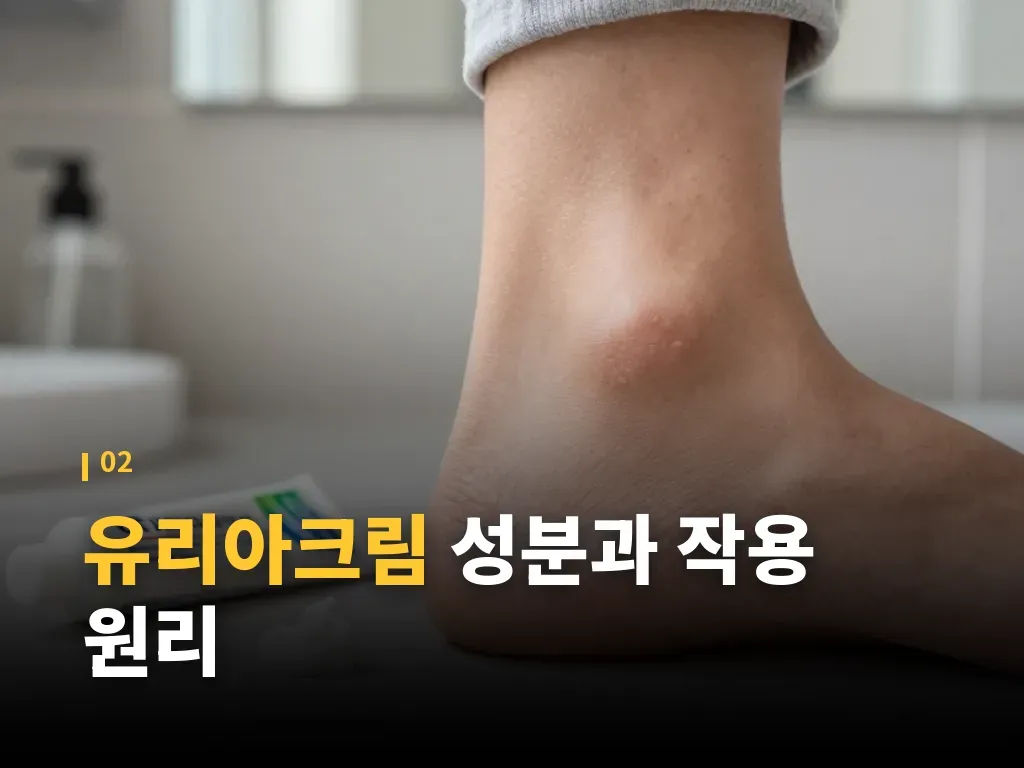 유리아크림 사용 시 주의할 피부 유형 이미지
