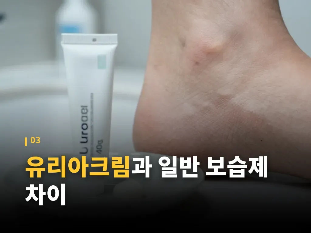 가격과 구매 전 체크 포인트 이미지