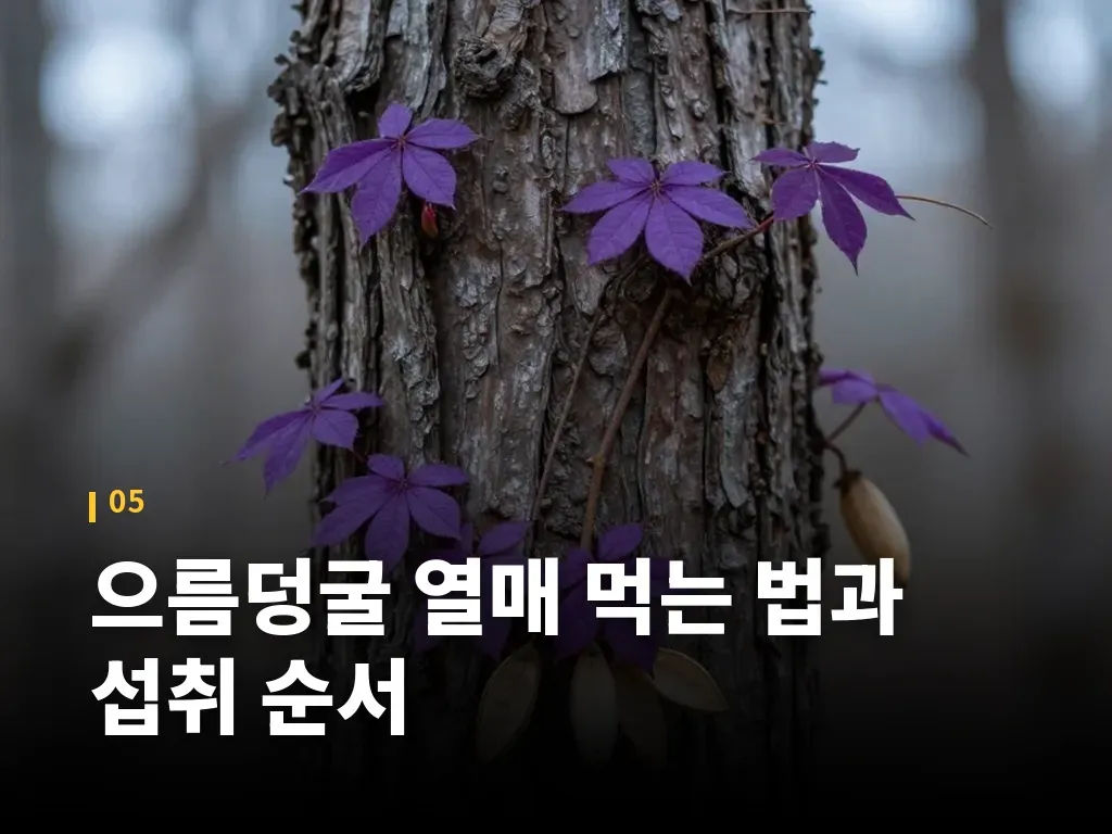 으름덩굴 열매 먹는 법과 섭취 순서 이미지