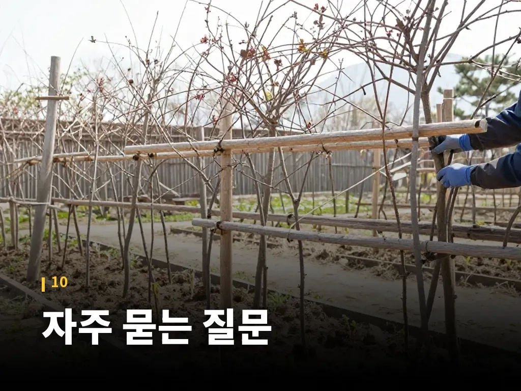 자주 묻는 질문 이미지