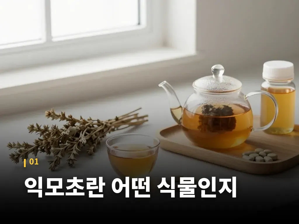 익모초 효능과 비슷한 약초 비교 이미지