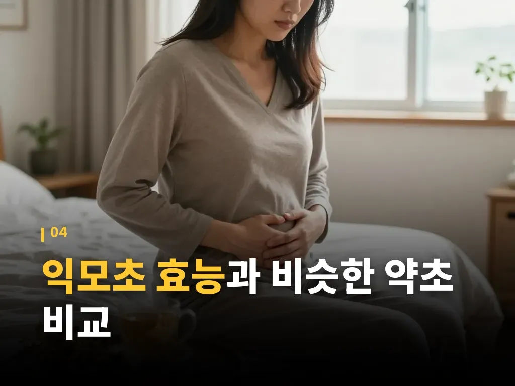 익모초를 고를 때 보는 기준 이미지