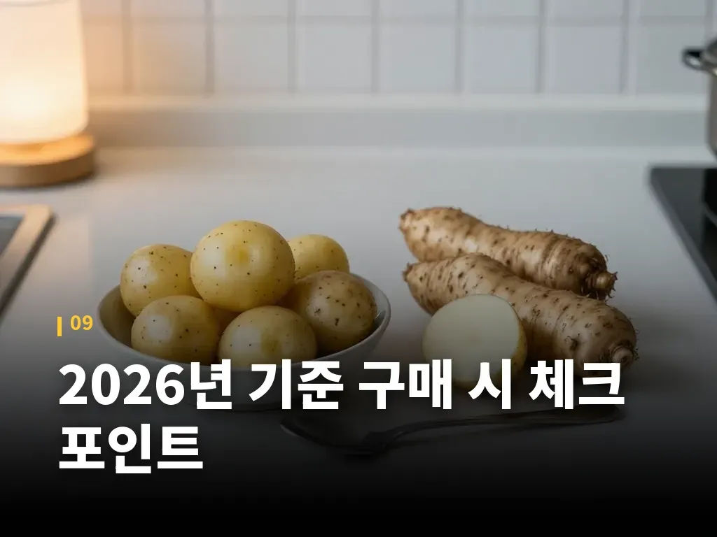 2026년 기준 구매 시 체크 포인트 이미지