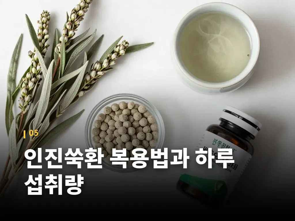 인진쑥환 복용법과 하루 섭취량 이미지