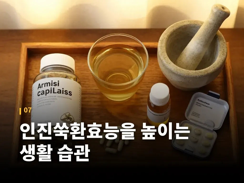 인진쑥환효능을 높이는 생활 습관 이미지