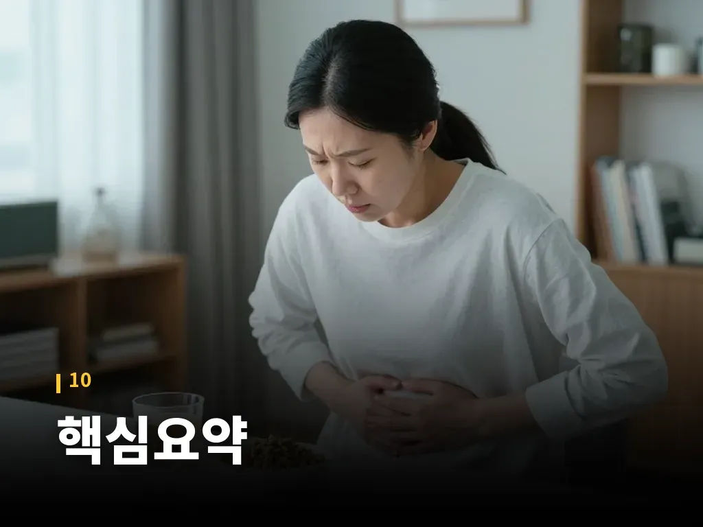 핵심요약 이미지