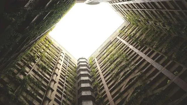 핵심요약 이미지