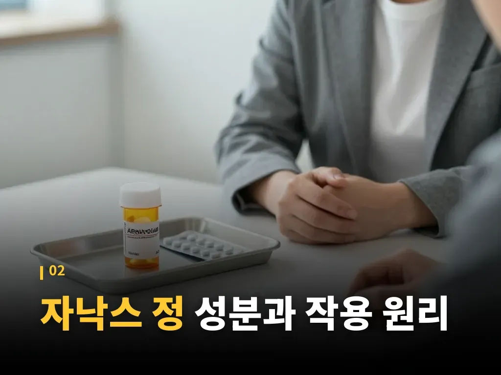 자낙스 정과 술 함께할 때 생길 수 있는 문제 이미지