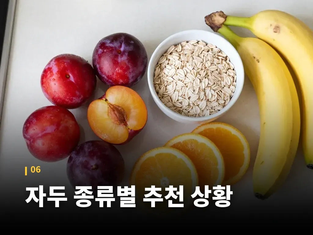 자두 종류별 추천 상황 이미지