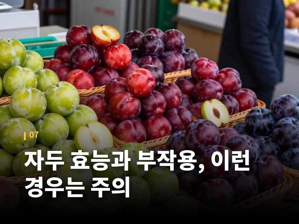 자두 효능과 부작용, 이런 경우는 주의 이미지