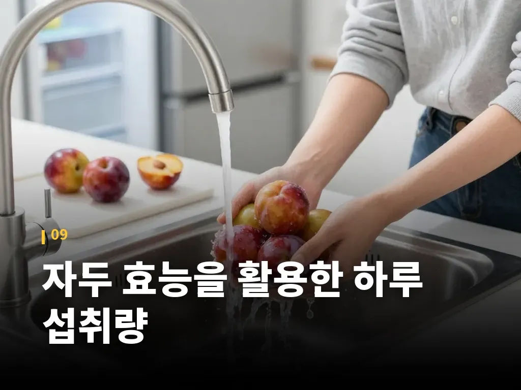 자두 효능을 활용한 하루 섭취량 이미지