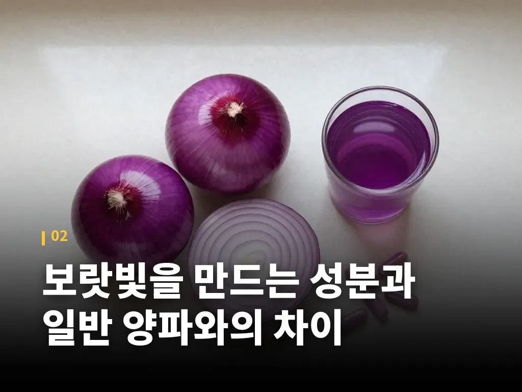 항산화와 면역 균형에 기대할 수 있는 점 이미지