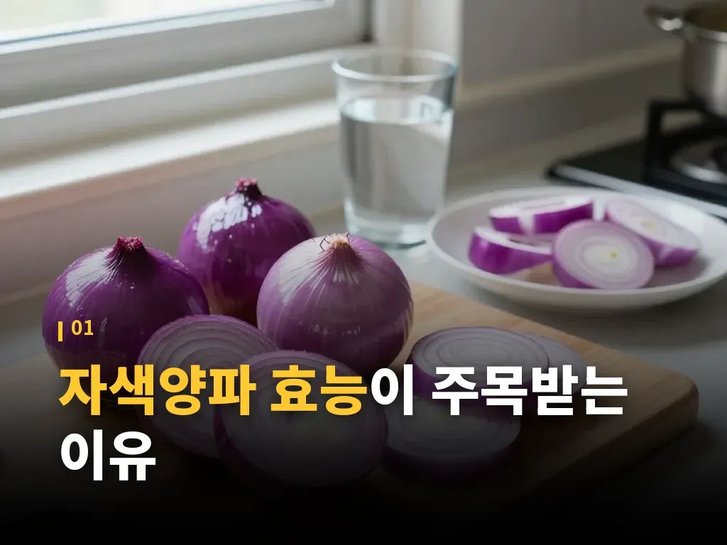자색양파 효능과 혈관 건강의 연결고리 이미지