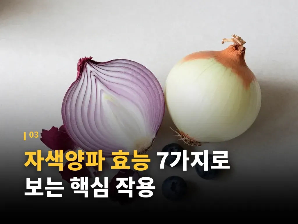 혈당 관리에 활용하는 방법 이미지