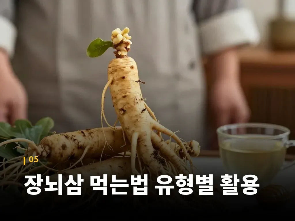 장뇌삼 먹는법 유형별 활용 이미지
