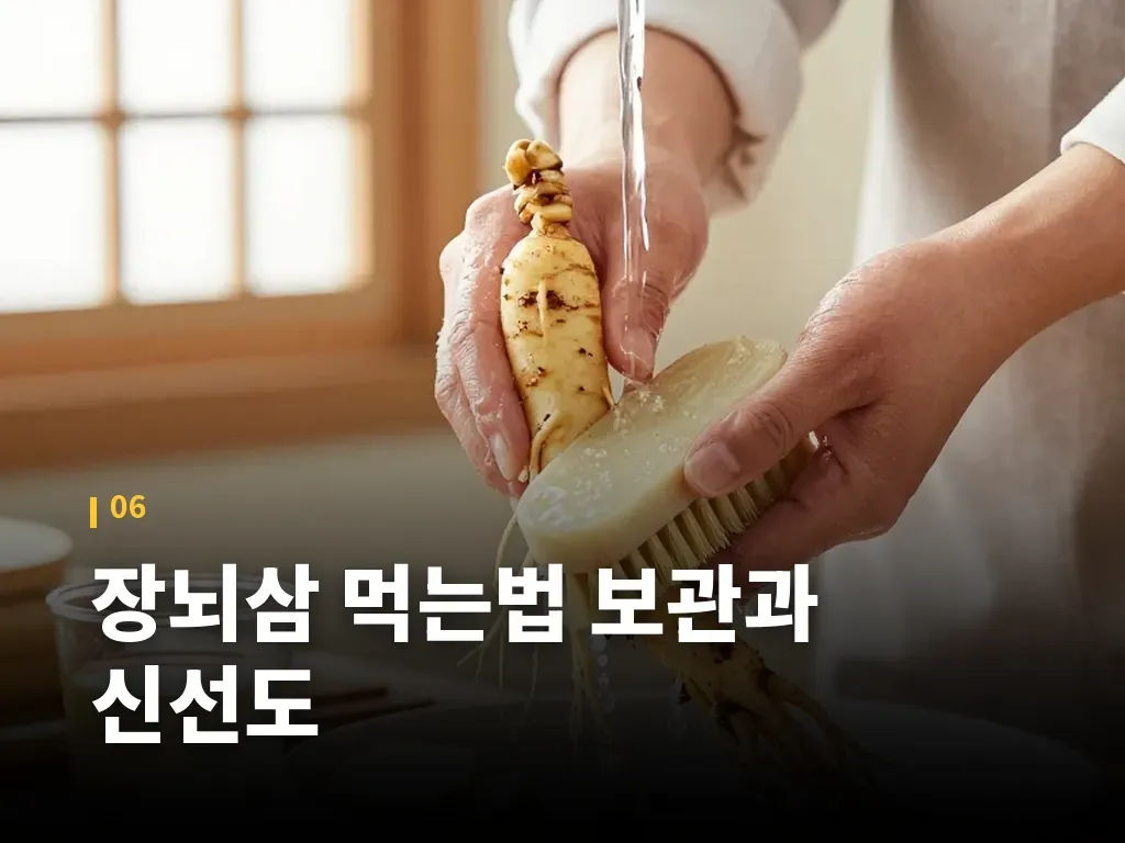 장뇌삼 먹는법 보관과 신선도 이미지