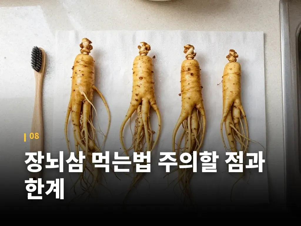장뇌삼 먹는법 주의할 점과 한계 이미지