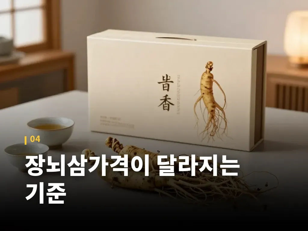 장뇌삼가격이 달라지는 기준 이미지