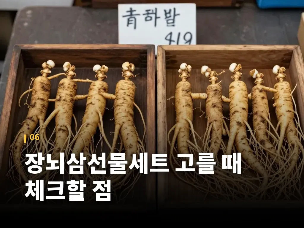 장뇌삼선물세트 고를 때 체크할 점 이미지