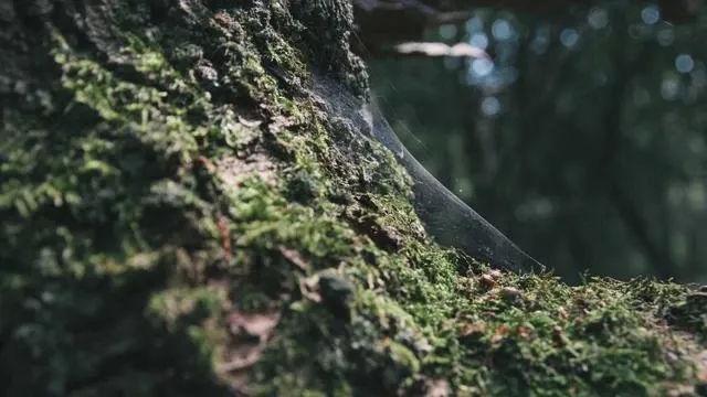 핵심요약 이미지