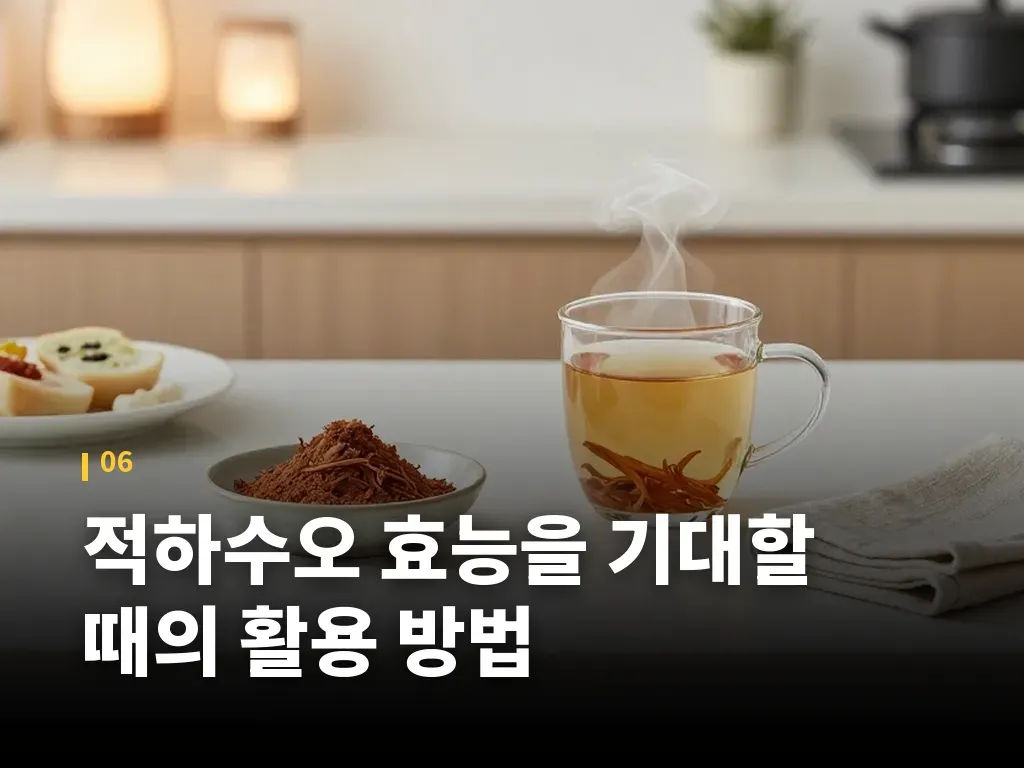 적하수오 효능을 기대할 때의 활용 방법 이미지