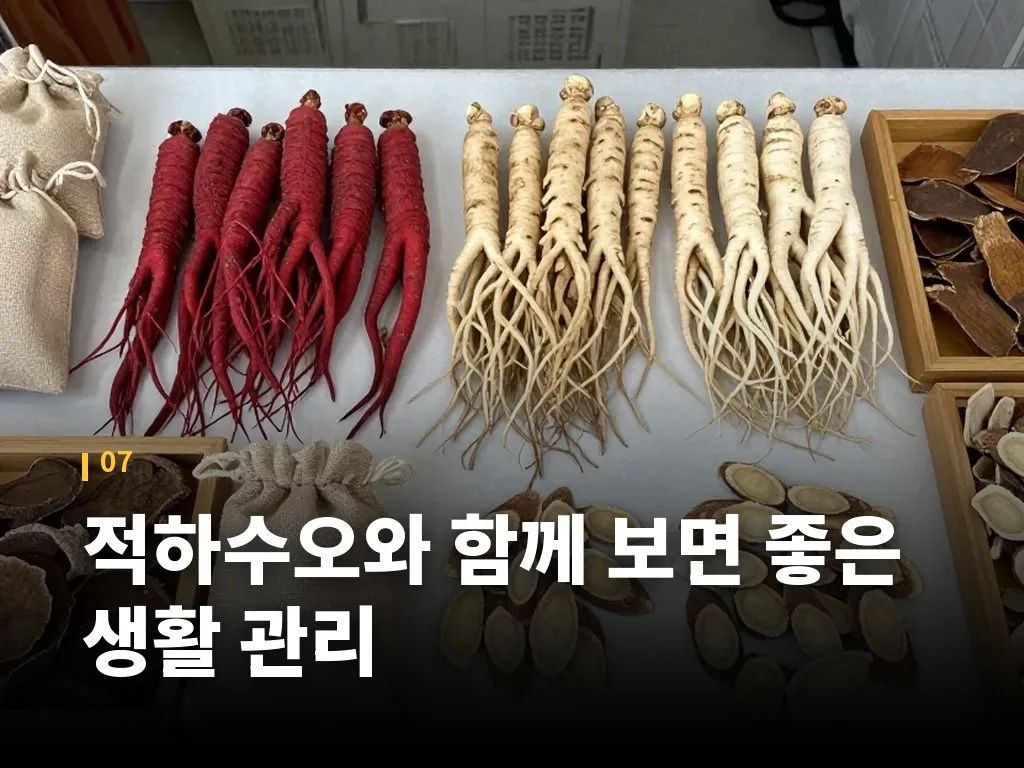 적하수오와 함께 보면 좋은 생활 관리 이미지