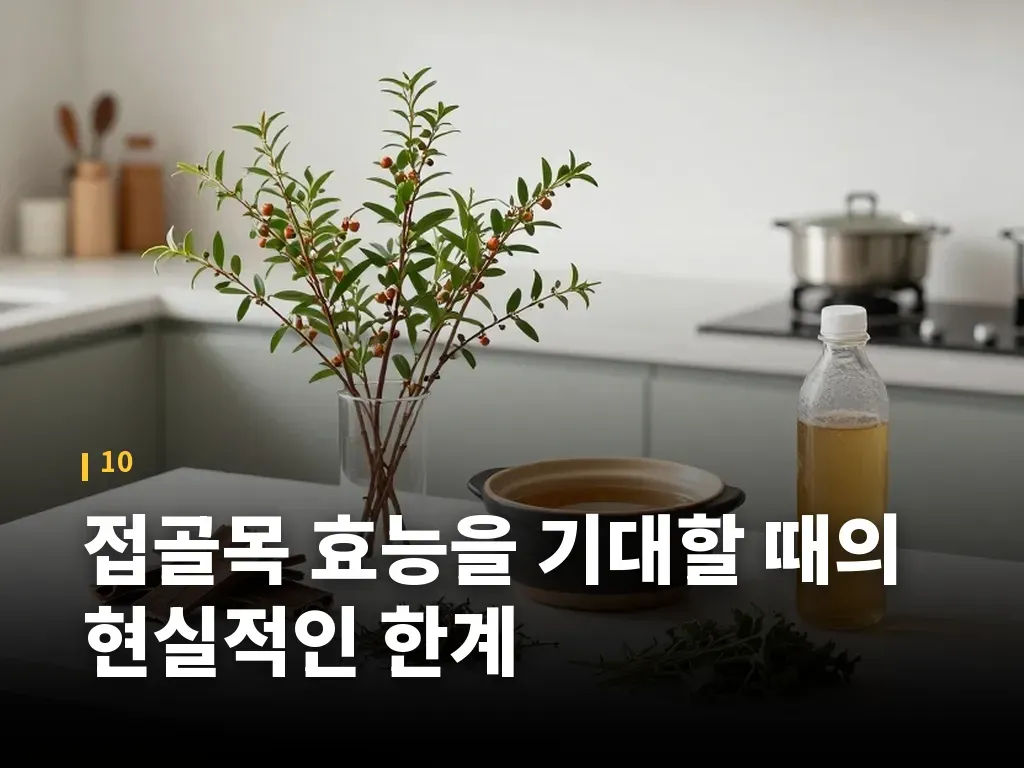 접골목 효능을 기대할 때의 현실적인 한계 이미지