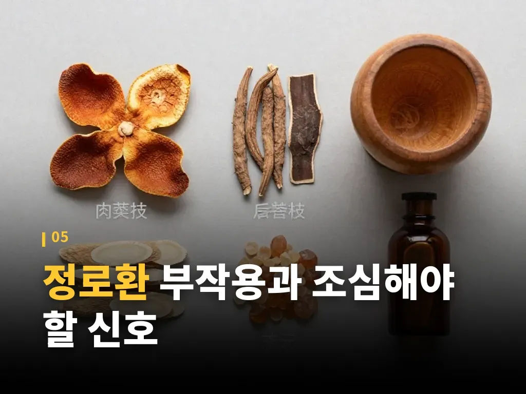 실제 활용 시나리오로 보는 선택 포인트 이미지
