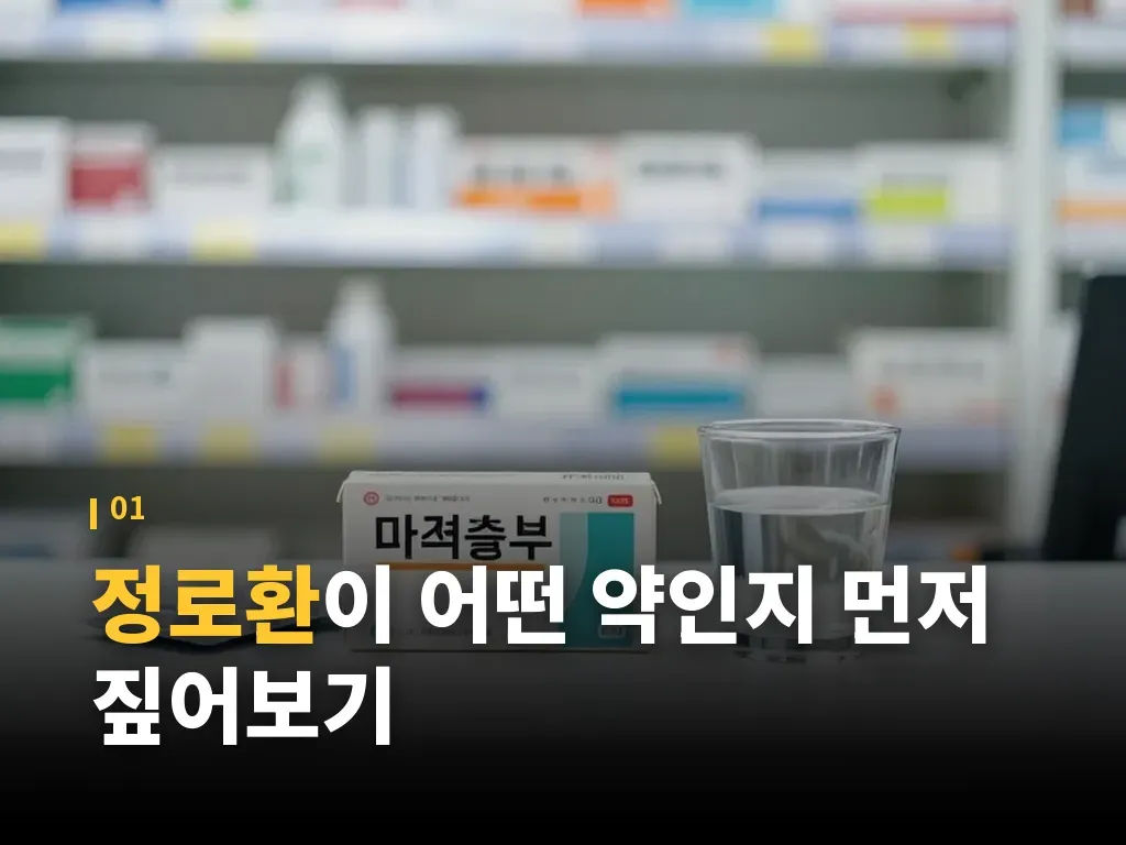 정로환 성분 구성을 이해하는 방법 이미지