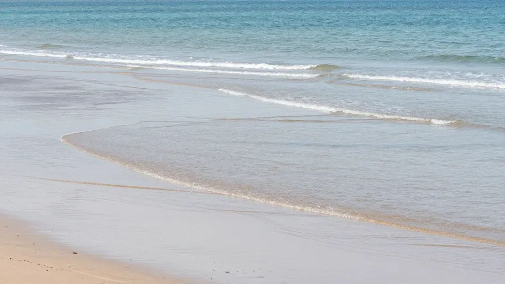 제부도 3월 갯벌길 안전 출입 요령 이미지