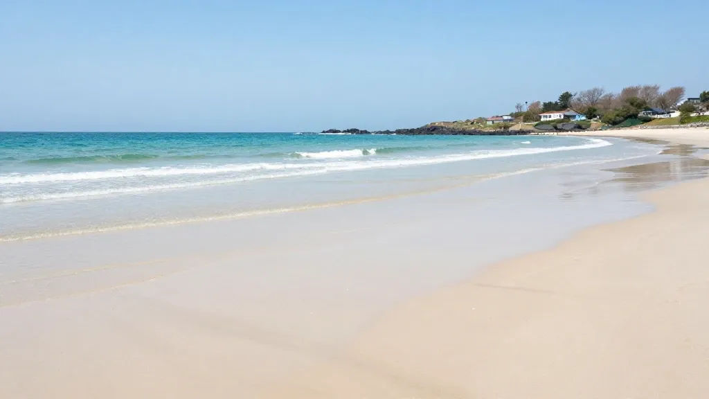 핵심 요약 이미지