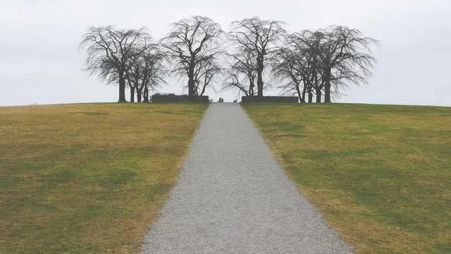 핵심 요약 이미지