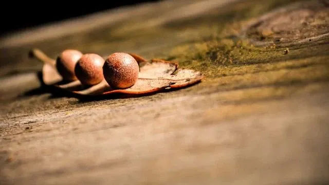 핵심 요약 이미지