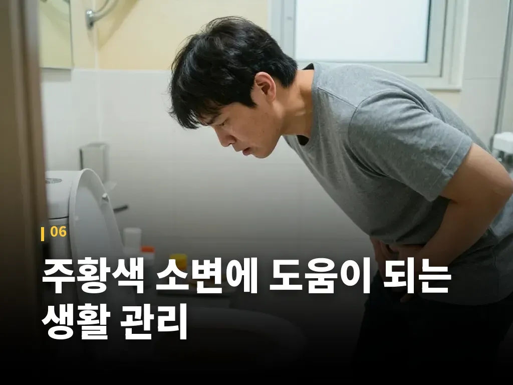 주황색 소변에 도움이 되는 생활 관리 이미지