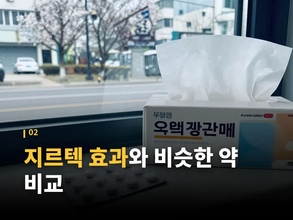 지르텍 효과와 술, 함께 볼 때의 위험 이미지