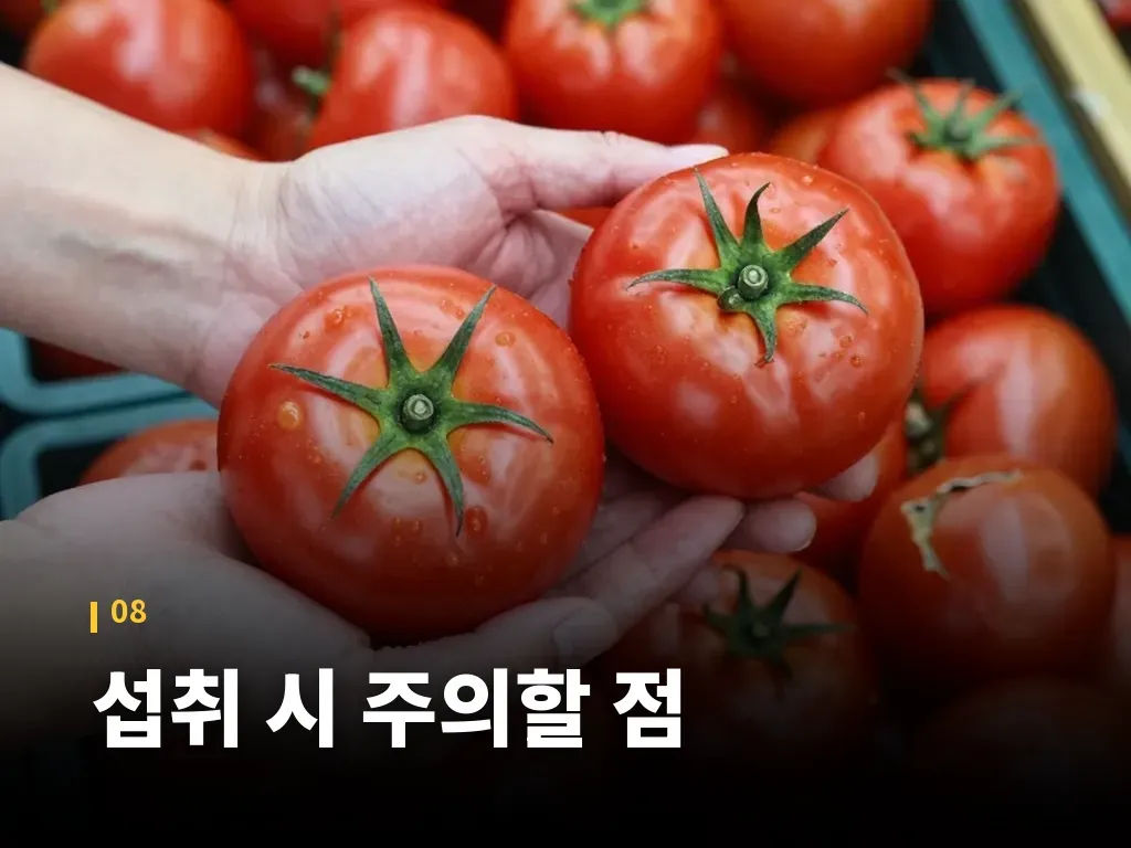 섭취 시 주의할 점 이미지