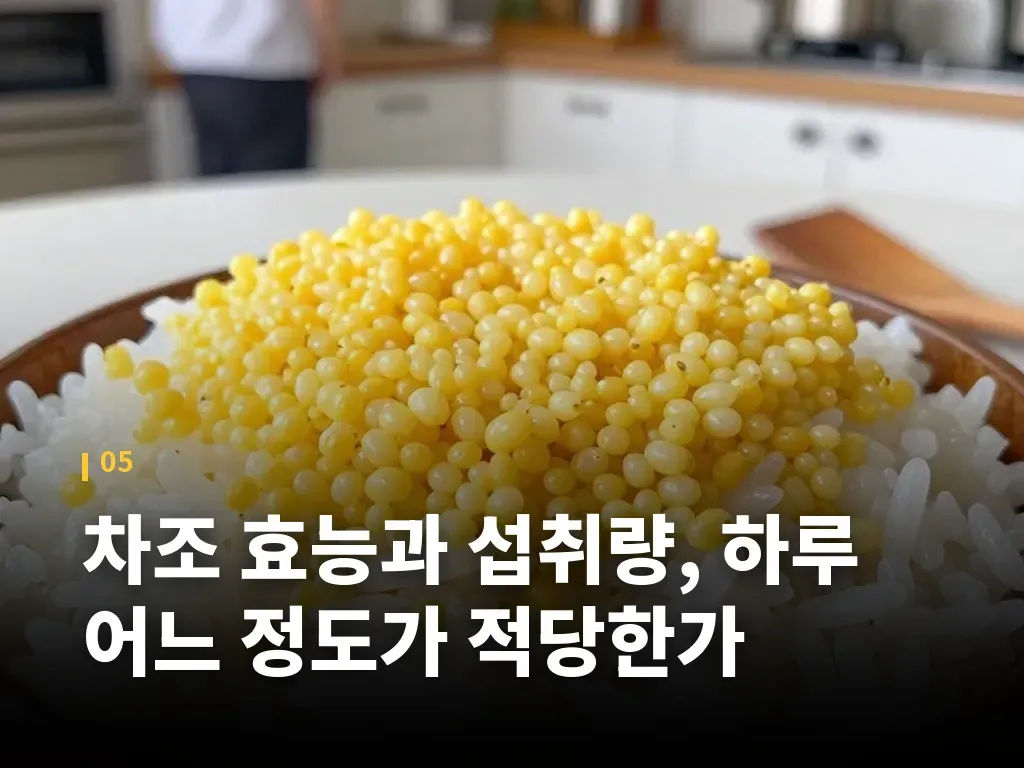 차조 효능과 섭취량, 하루 어느 정도가 적당한가 이미지