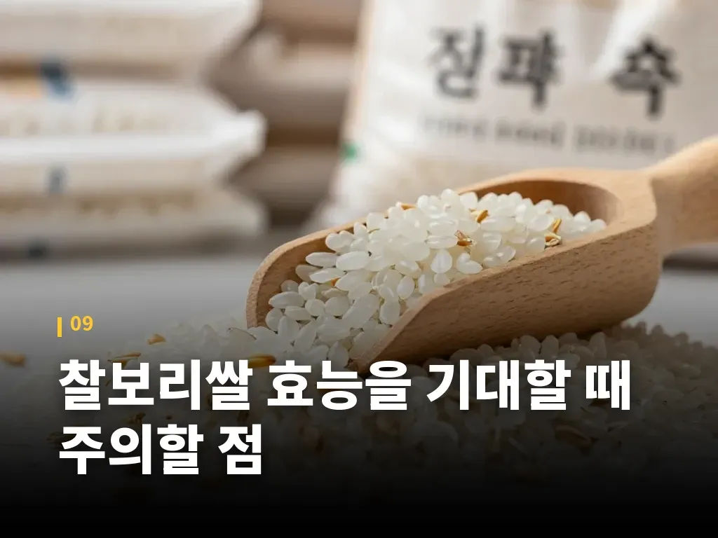 찰보리쌀 효능을 기대할 때 주의할 점 이미지