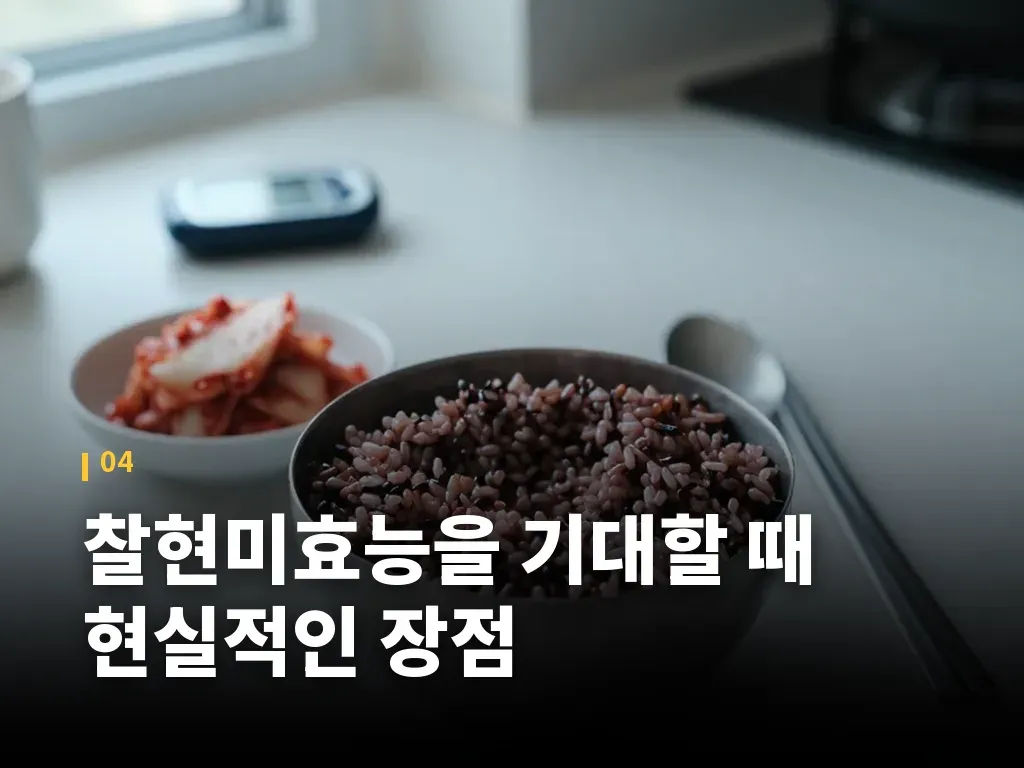 찰현미효능을 기대할 때 현실적인 장점 이미지