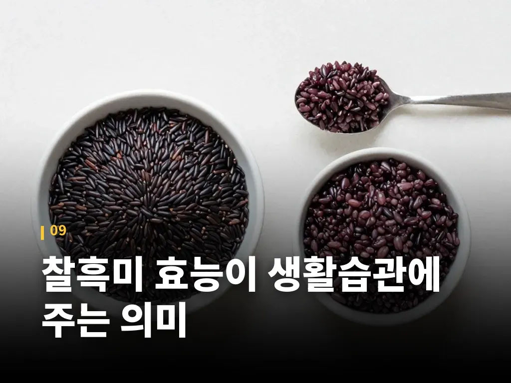 찰흑미 효능이 생활습관에 주는 의미 이미지