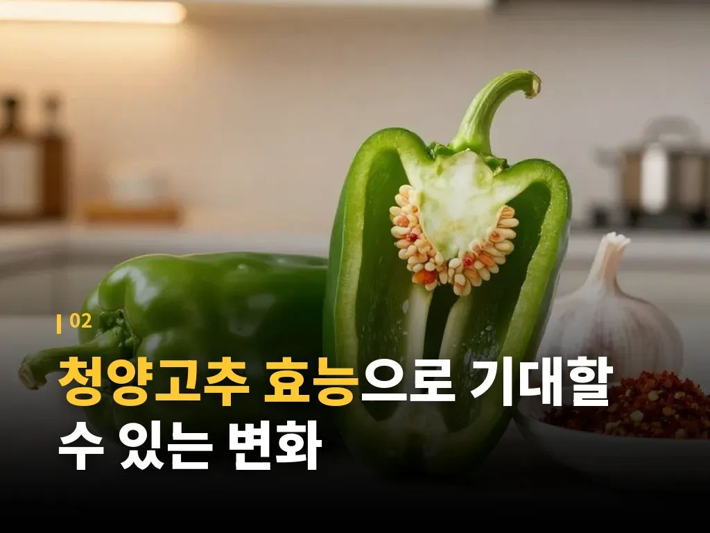 청양고추 효능과 주의해야 할 상황 이미지